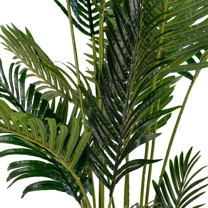Konstväxt - Areca Palm