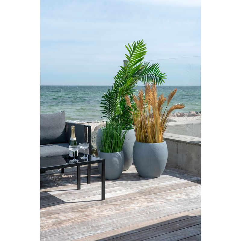 Konstväxt - Areca Palm